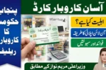 CM Punjab Asaan Karobar Card – Online Apply, Eligibility & Benefits